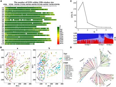 Population Genomics and Haplotype Analysis in Bread Wheat Identify a Gene Regulating Glume Pubescence